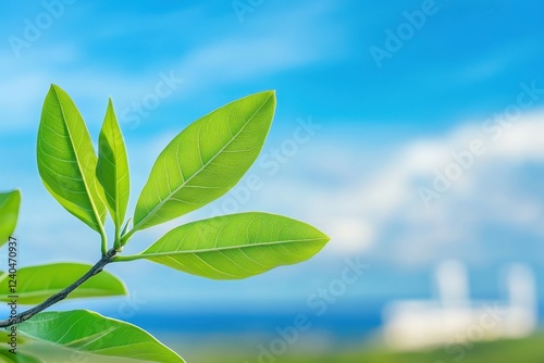 Vibrant green leaves against a blurred blue sky and industrial background, suggesting ecological themes and clean energy. photo