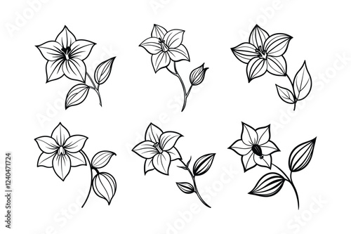 Balloon Flower Platycodon Grandiflorus Line Art Set Vector Illustration
