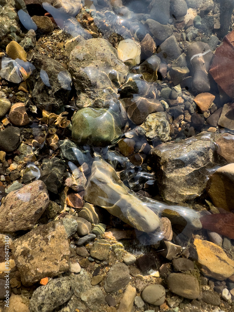 stones in the water stones in the water