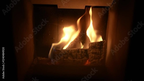 Flames within a wood-burning stove. The intricate patterns of the flames create a hypnotic effect, drawing the viewer in and inviting contemplation. photo