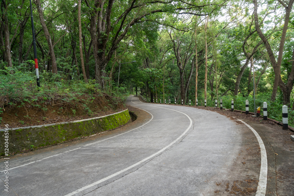 Fototapeta premium curvy road concrete road in the forest