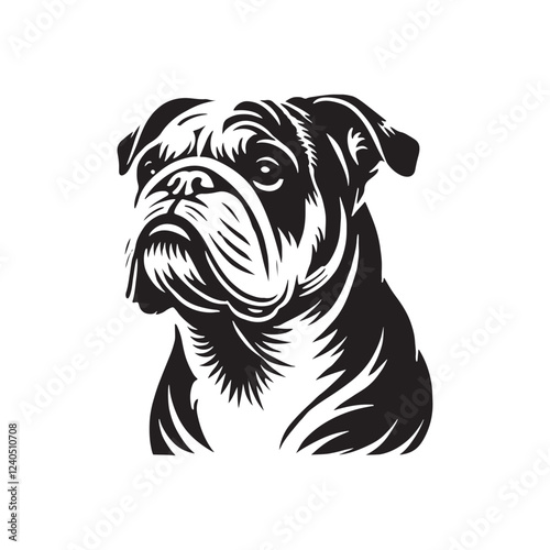 Minimal Continental Bulldog Silhouette - Continental Bulldog Vector - Illustration of Continental Bulldog.