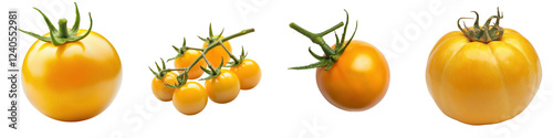 Beautiful yellow tomatoes arranged in a variety of sizes and shapes on a white background