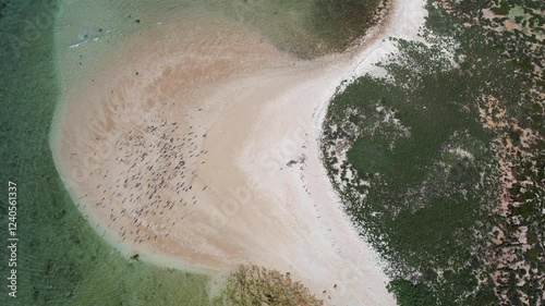 Aerial view of beautiful turquoise ocean and sandy beach with waves at Quobba blowholes, Point Quobba, Gascoyne Region, Australia. photo