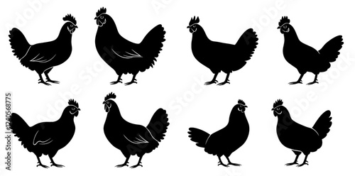 Multiple chicken profiles set against a white canvas.