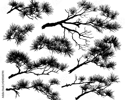 Slender and stylish pine tree branches - a black and white modern conifer tree silhouette set.
