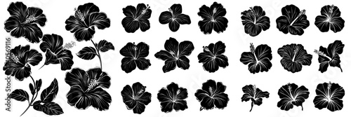 A modern array of black silhouettes featuring tropical hibiscus flowers, isolated on a white backdrop.
