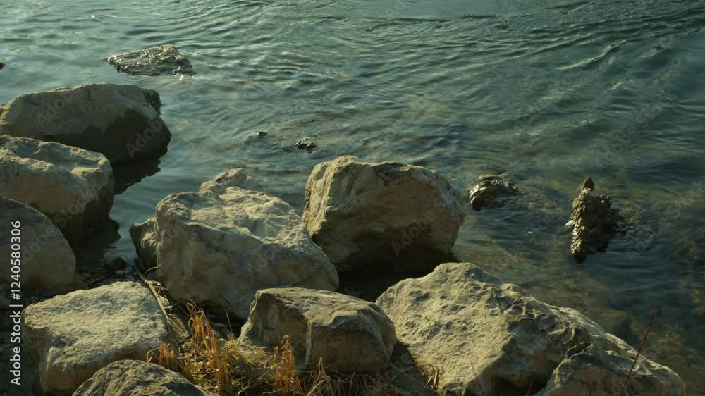 rocks in the water