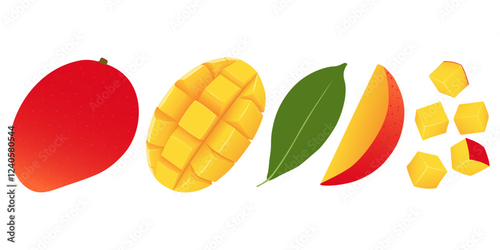 Set of fresh whole, half, cut slice mango fruit. Summer fruits for healthy lifestyle. Organic mango fruit.