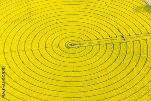 Aerial view of beautiful canola crop in circular pattern, Wyuna, Australia. photo