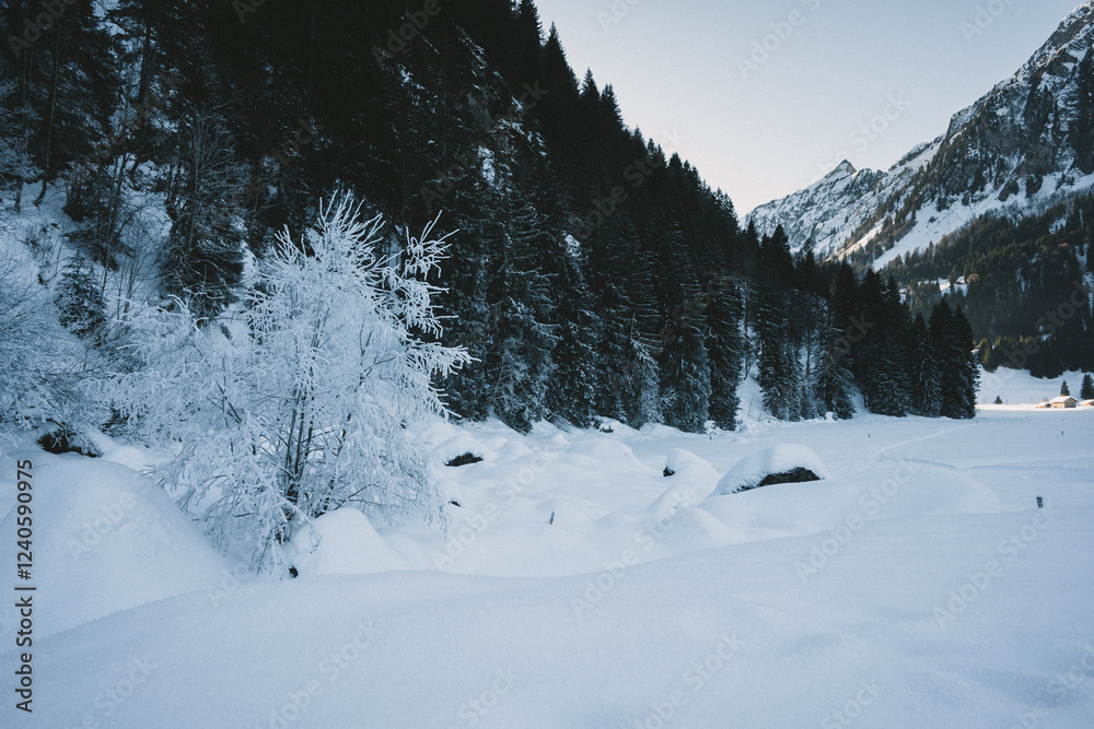 Fototapeta premium winter mountain landscape