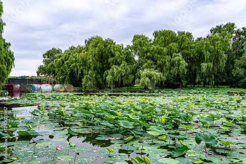 Scenery of Beiling Park in Shenyang, China