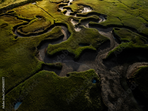 Aerial view of beautiful serpentine wetlands with intricate patterns and textures, Gloucester, United States. photo