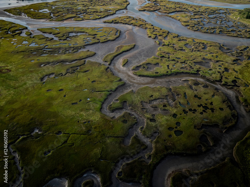Aerial view of serene wetlands and winding river in expansive marshland, Gloucester, Massachusetts, United States.
