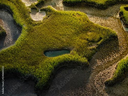 Aerial view of serene Wingaersheek Beach with beautiful green wetlands and marshes, Gloucester, Massachusetts, United States. photo