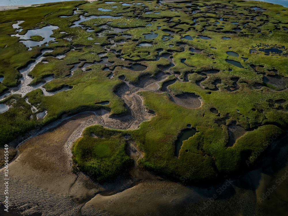 Aerial view of beautiful wetlands with intricate patterns and vibrant green grass, Gloucester, United States. Aerial view of beautiful wetlands with intricate patterns and vibrant green grass, Gloucester, United States.