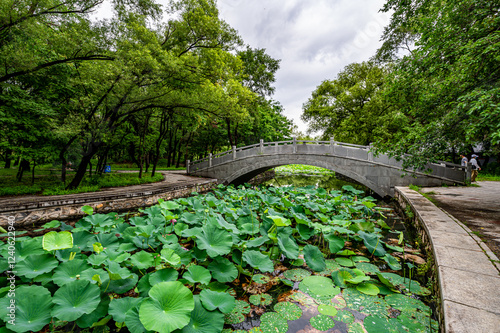 Scenery of Beiling Park in Shenyang, China photo