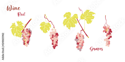 Grapevine leaves and red grape bunches in flat style design.