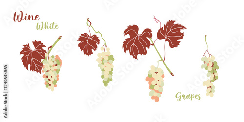 Grapevine leaves and white grape bunches in flat style design.