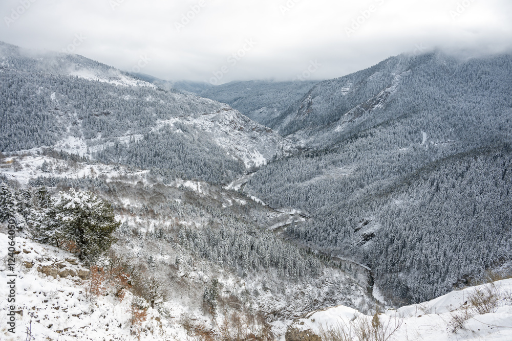 Winter landscape covered in snow