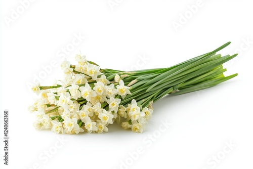 A Delicate Bouquet of Spring Daffodils photo