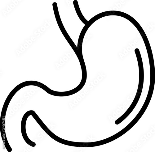 Stomach