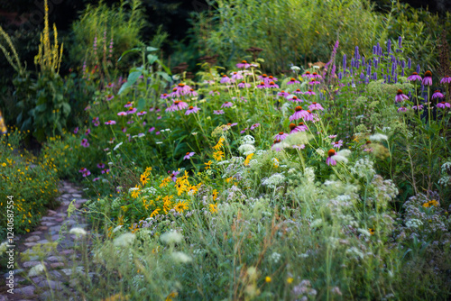 Fototapeta Naklejka Na Ścianę i Meble -  flowers in a garden