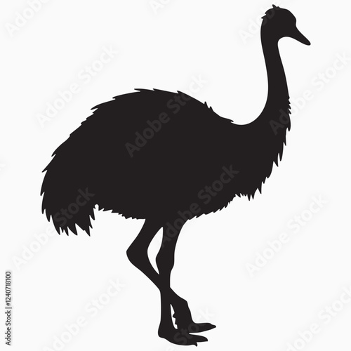 emu isolated on white silhouette