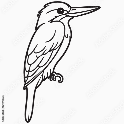 kingfisher isolated on white silhouette