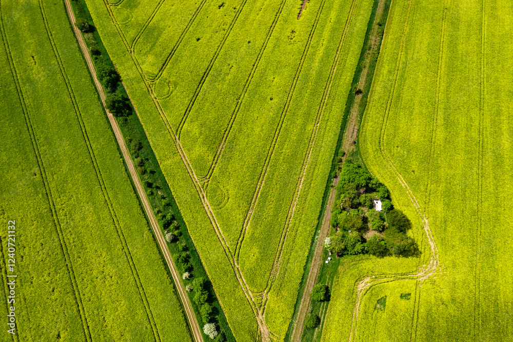 Top view of rapeseed fields. Yellow rapeseed field with stripes and abstract landscape. Germany.