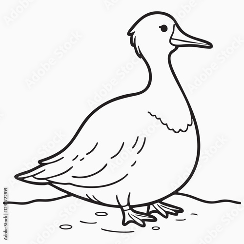 waterfowl isolated on white silhouette