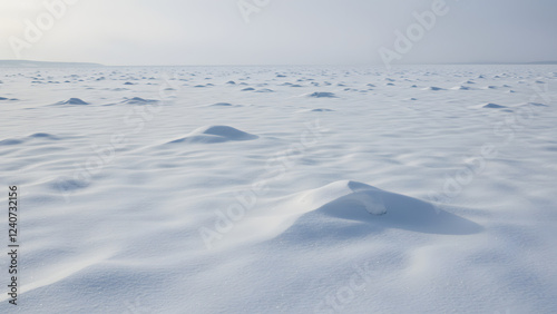 Serene Winter Snowfield Landscape