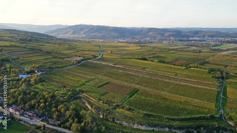 Aerial view of picturesque vineyards and sprawling fields in autumn, Wachau Valley, Austria. Aerial view of picturesque vineyards and sprawling fields in autumn, Wachau Valley, Austria.
