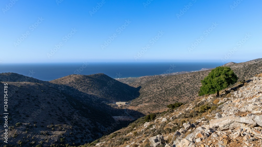 Fototapeta premium Scenic view of a rocky hillside with a lone tree overlooking a vast ocean under a clear blue sky.