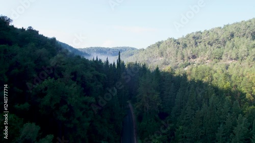 Aerial video of the Ein Hashofet Forest area Israel photo