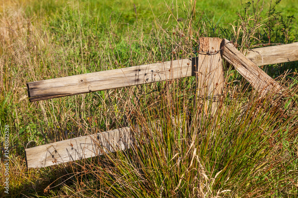 Alter Weidenzaun aus Holz, Deutschland Alter Weidenzaun aus Holz, Deutschland