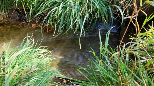 Fast flowing water in a ditch