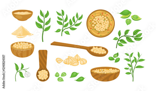 Set of Chickpea Beige Pile with Green Pod collection kit cartoon, chickpea wooden spoon and wooden bowl, chickpeas powder, leaves, seeds, green branch or stem plant, isolated on white background.