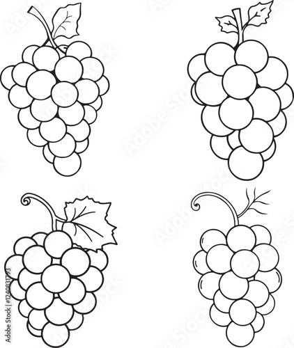 Grape line art vector illustration