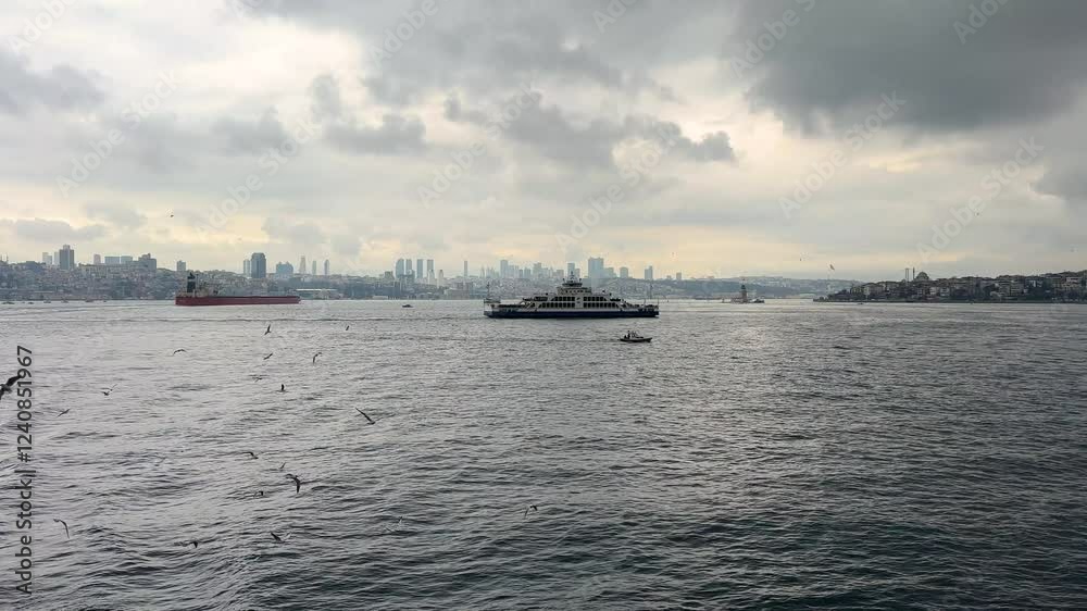 Slow-motion seagulls flying above ferry wake, Istanbul skyline behind Slow-motion seagulls flying above ferry wake, Istanbul skyline behind