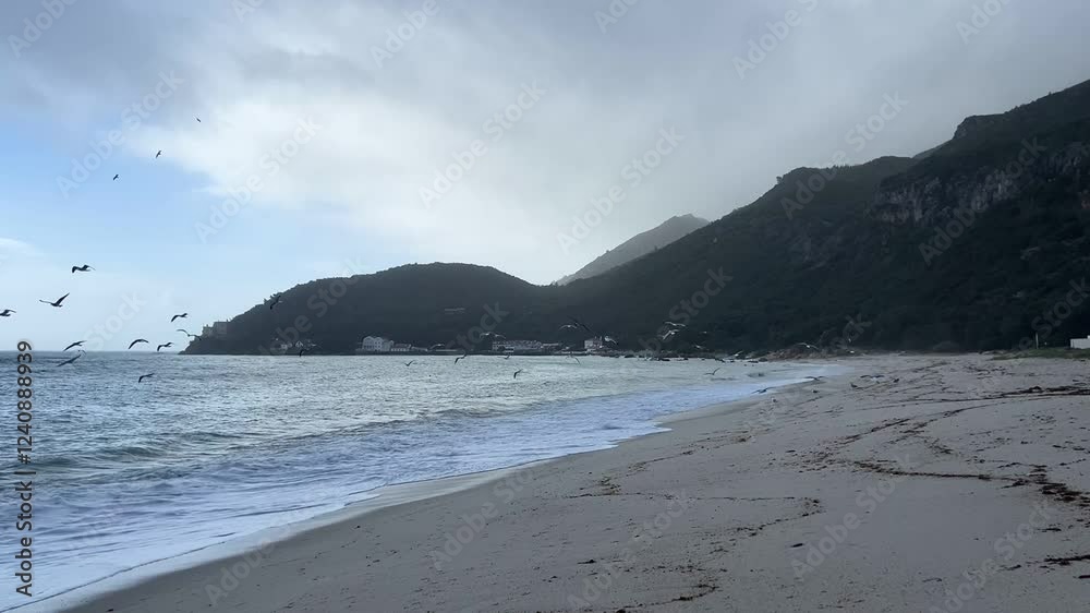 Flock of seagulls soars above the foamy waves on the ocean coast. Clean beach sand against the backdrop of mountains in the fog. Windy, cloudy weather, retreat and serenity. Unity with nature, energy Flock of seagulls soars above the foamy waves on the ocean coast. Clean beach sand against the backdrop of mountains in the fog. Windy, cloudy weather, retreat and serenity. Unity with nature, energy