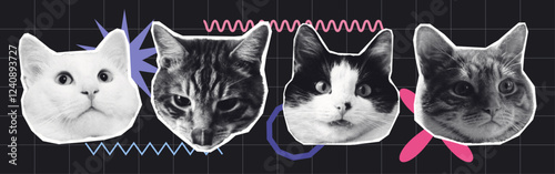 Photography Black and white Cats halftone Collage with Abstract Graphic Elements on grid