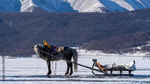 Horse-Drawn Sled on Frozen Lake
A traditional horse-drawn sled on the icy surface of Khuvsgul Lake in Mongolia, set against the backdrop of snow-covered mountains and forests.