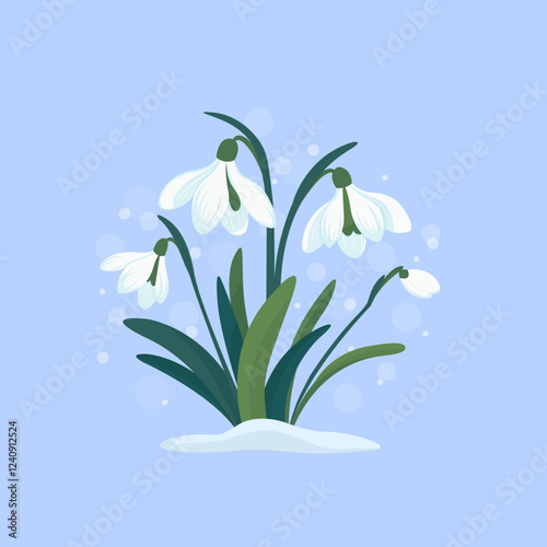 Flowers white snowdrops with leaves. Spring is coming. Snowdrop day. Vector illustration isolated on blue background 