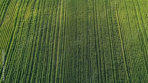 AI-driven smart farming technology monitoring crops with sensors and automated drone analytics.