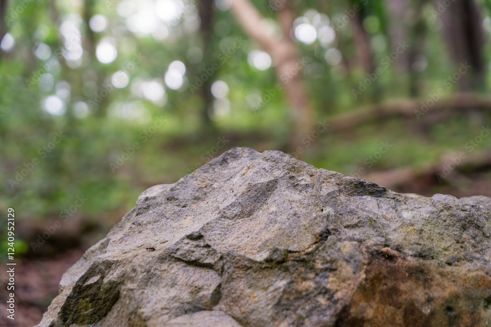 rock pedestal for a product display stand, green forest and blurred on the background rock pedestal for a product display stand, green forest and blurred on the background