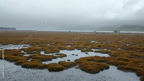 Wetland with peat formation near a Hoo Field Voe on mainland Shetland UK,  Shetland landscape,  acid mire