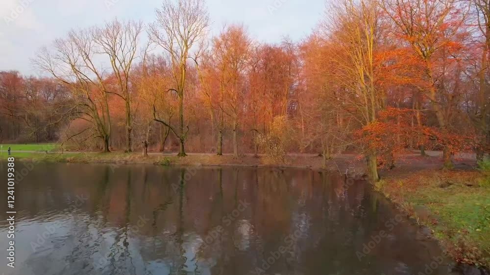 Scenic Lake in the Forest - Tranquil Nature from Above Scenic Lake in the Forest - Tranquil Nature from Above