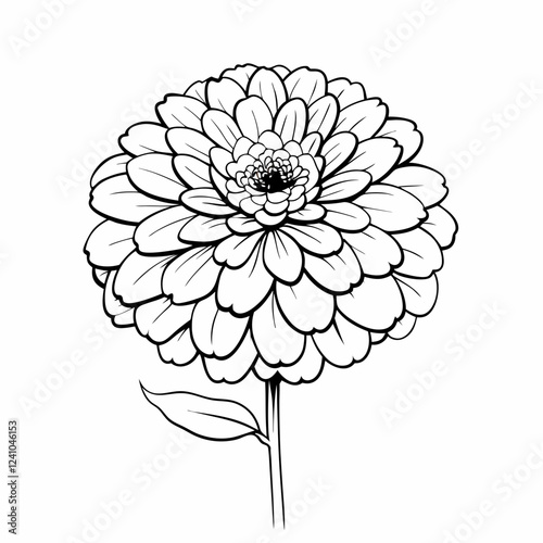 Zinnia flower illustration in black and white on a simple background