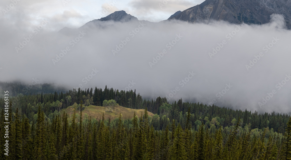 Fototapeta premium Scenic view of a forest and clearing under low clouds with towering rocky mountains 